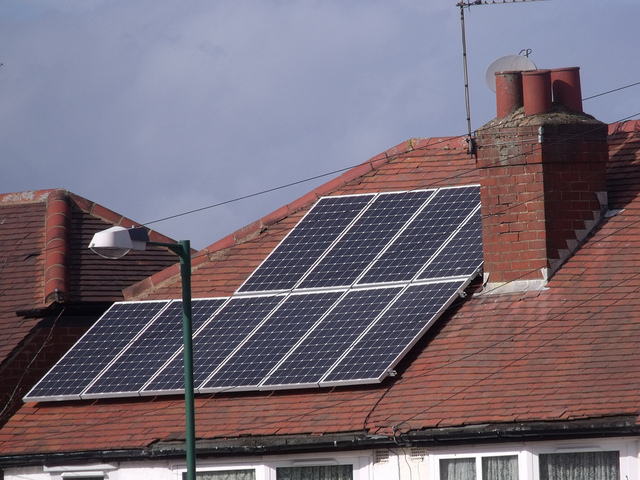 Essential Guide to Maintaining your Green Home, and Health