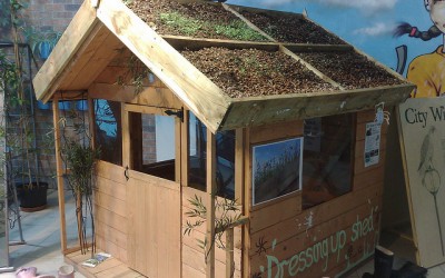 4 Creative Ways You Can Use Your Garden Shed To Help Save The Planet