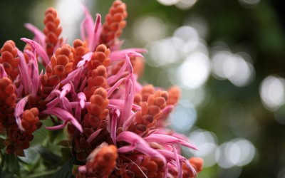 Does Your Garden Slope? Here are Some Unbelievable Solutions You Need To Know