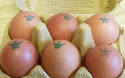 Happy Egg & Noble Foods – everything you need to know about the UK’s Largest Free Range Egg Brand