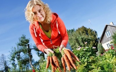 Home Gardening to Save Money