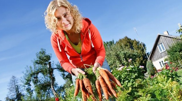 Home Gardening to Save Money