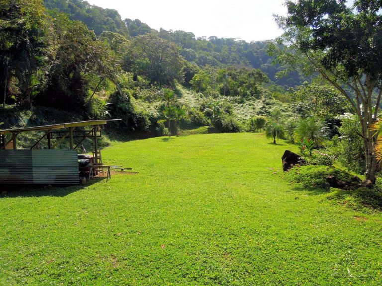 Build Your Own Green Future