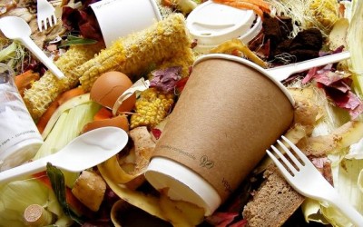 Why every home should consider food waste recycling