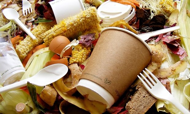 Why every home should consider food waste recycling