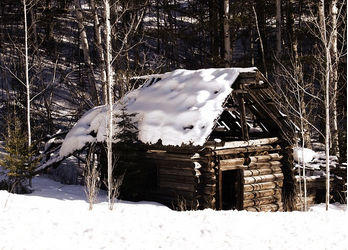 Make Your Home Blend Into The Environment With These Top Tips