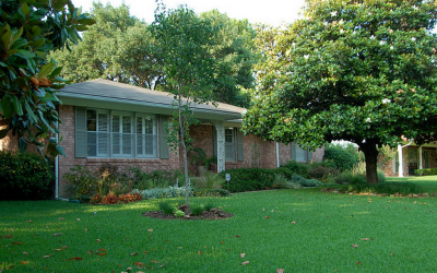 DIY Home Improvement Ideas That Won’t Damage The Ecosystem