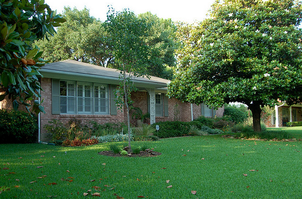 DIY Home Improvement Ideas That Won’t Damage The Ecosystem