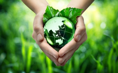 Trends in Green Building