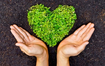 Making Your Home Business Greener