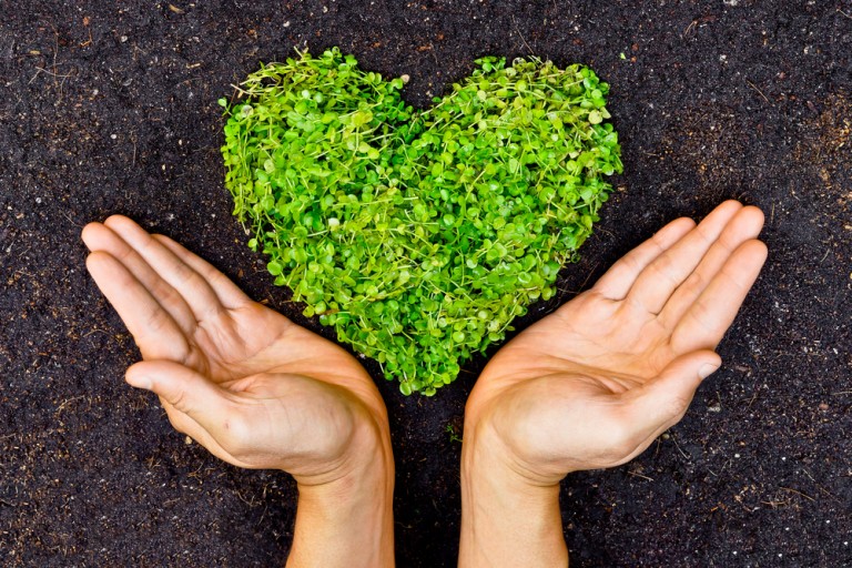 Making Your Home Business Greener