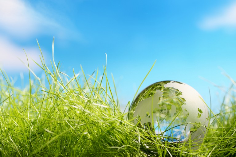 Expanding Your Home the Green Way