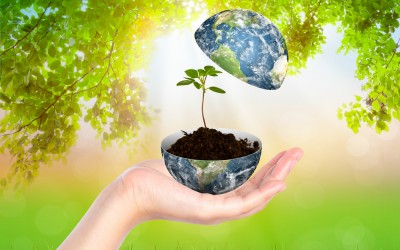 Developments in Green Techonology