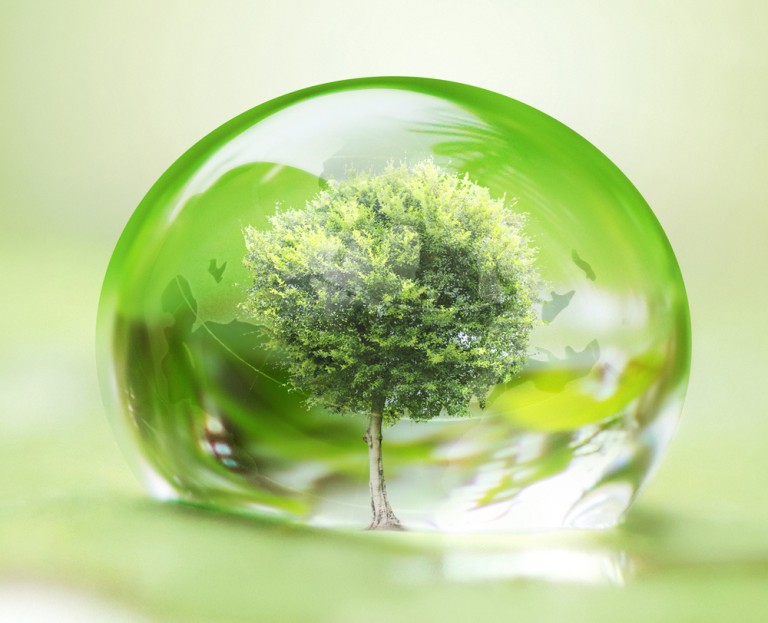 Green and Organic Ways to Care for Your Hair