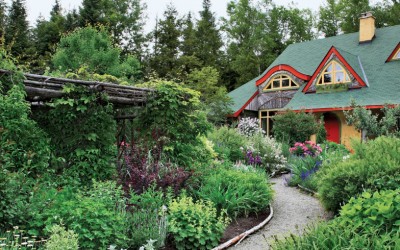 How to Make Your Home More Eco-Friendly in Three Easy Steps