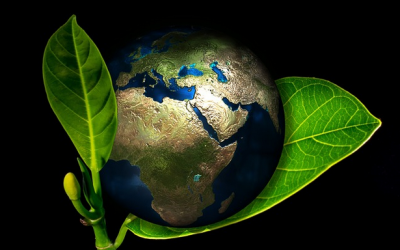 Fantastic Tips To Make Your Home Eco-Friendly