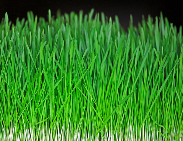 The Three Principles Of Greener Living