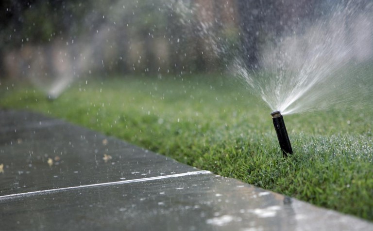 11 Easy Changes You Can Make to Save Water