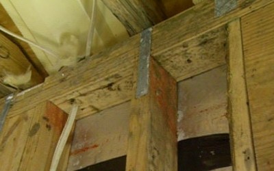 Breathe Easy at Home: Preventing and Detecting Mold Problems