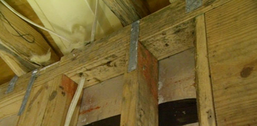 Breathe Easy at Home: Preventing and Detecting Mold Problems