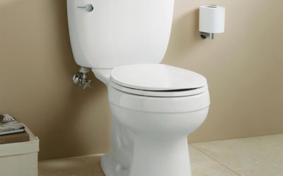 When Should You Buy a New Toilet?