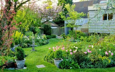 How to Garden in an Environmentally Friendly Way