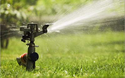 How to make your garden more eco friendly