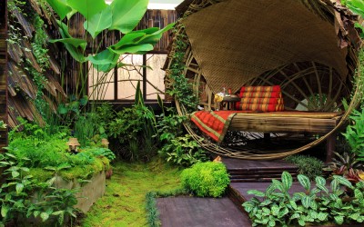 Where to Find Tips on Creating an Eco-Friendly Home