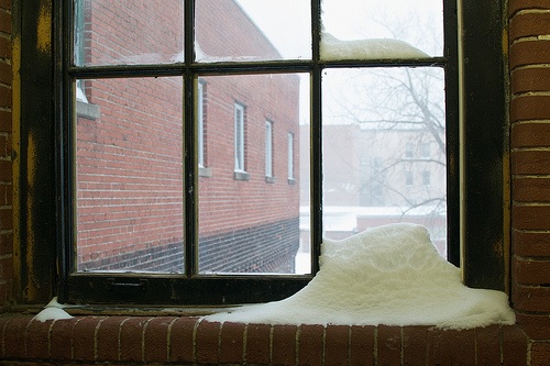 Getting Your Windows Ready for Winter