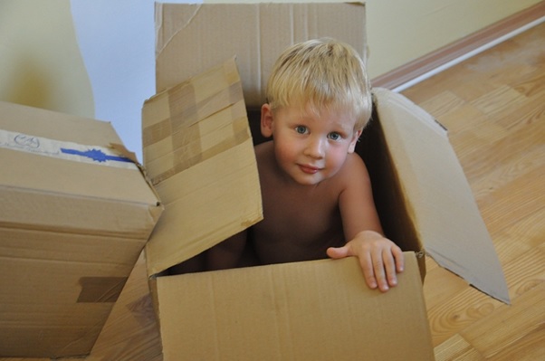 Moving Home: DIY Removals vs. Hiring Professionals