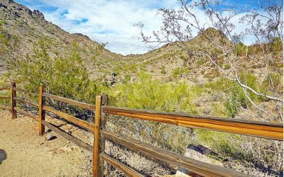 4 Ways to make a Desert House Green