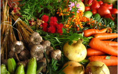 Grow It Yourself: A Guide to Organic Gardening