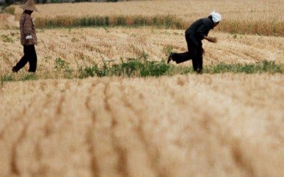 How To Clean Contaminated Soil And What To Do If You Cant