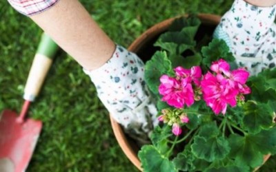 Clearing Your Garden Ready for Spring