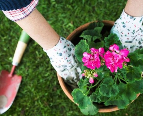 Clearing Your Garden Ready for Spring