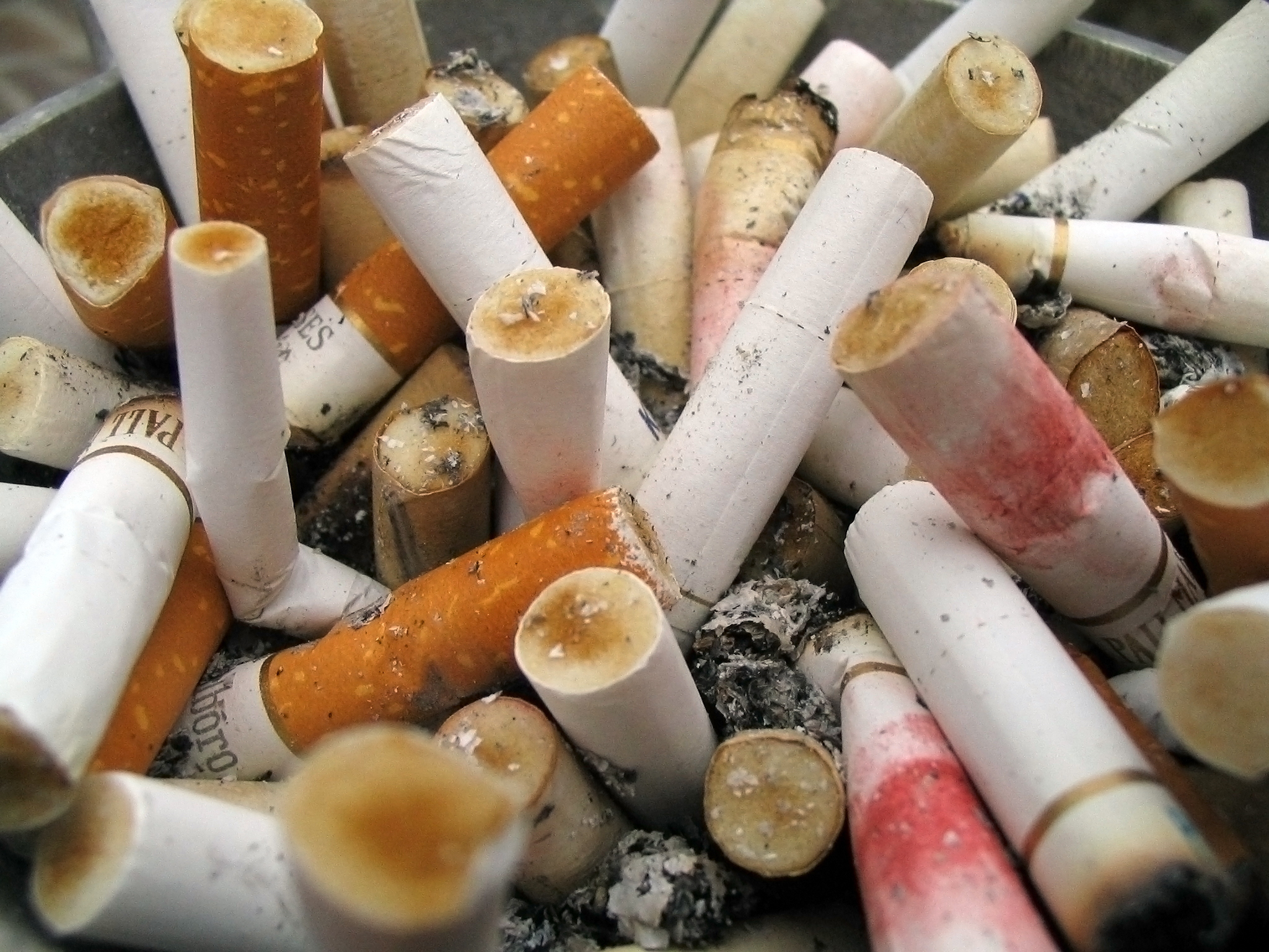 Impact of Smoking on the Environment My Green Home Blog