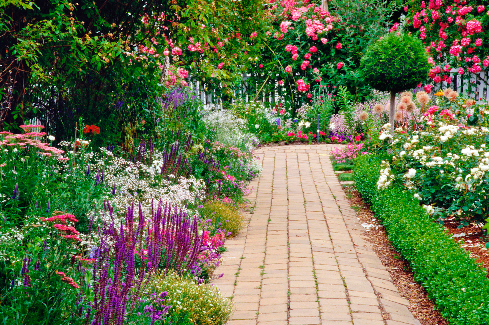 Five tips for designing a garden