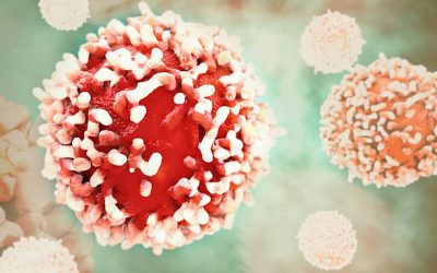 Cannabis Delivery Safety And Policies