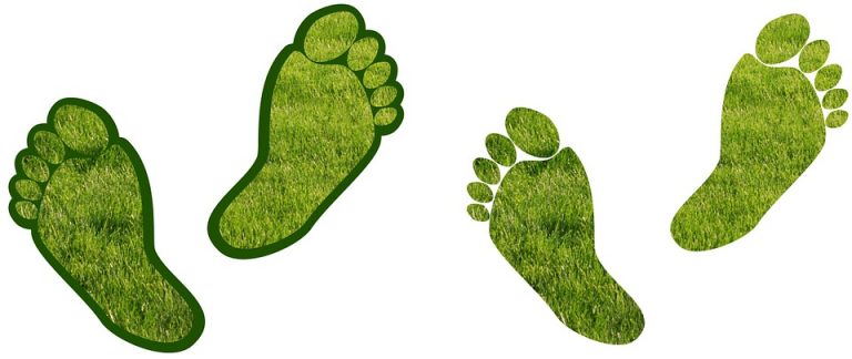 Steps to Reduce Your Carbon Footprint at Home