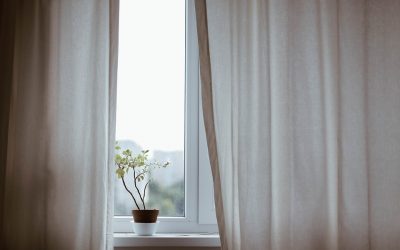 Basics of Home Window Care