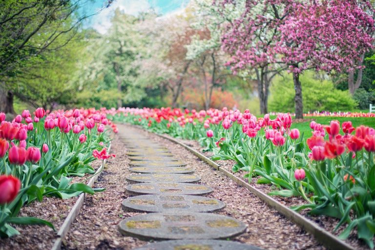 Spring is Here – It’s Time To Get Your Garden Sorted!