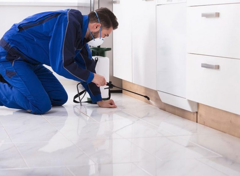 Get Rid of Household Pests Once and For All!